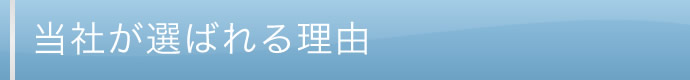 なぜ安くできるのか